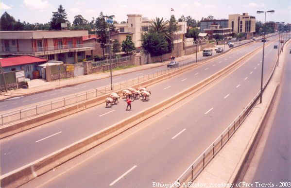 Проспект для ослов. Аддис-Абеба-2003г.