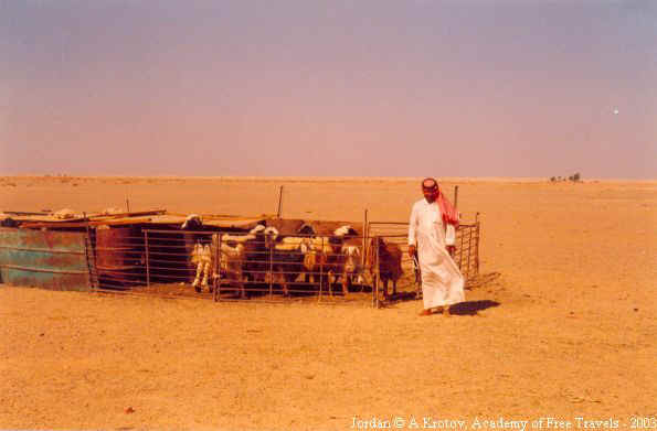 иорданский бедуин возле загона для скота.