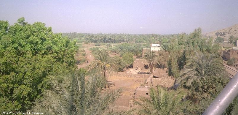 Долина Нила сверху. Средний Египет.  (72030 bytes)