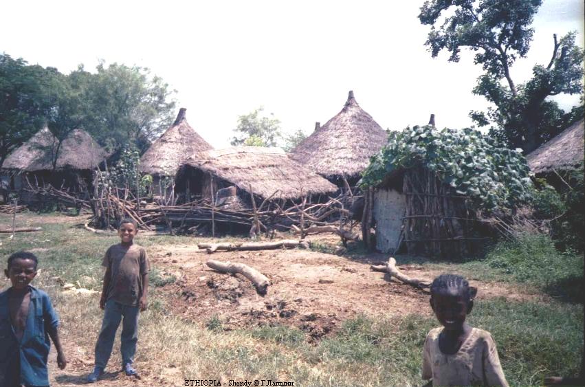Вид типичной северо-эфиопской деревни.