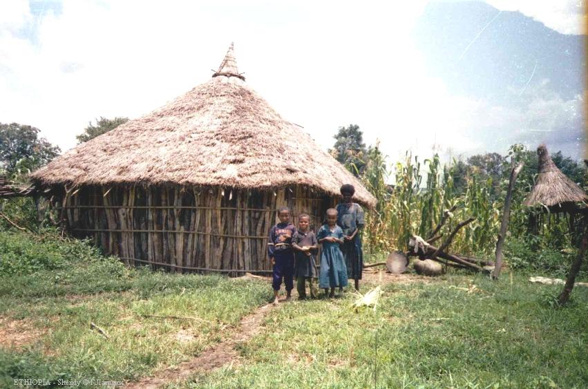 Типичная хижина северной Эфиопии и ее жители.