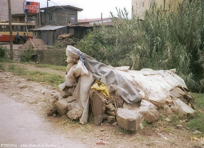 Аддис-Абебские бомжи строят себе весьма экзотические жилища из уличного мусора.