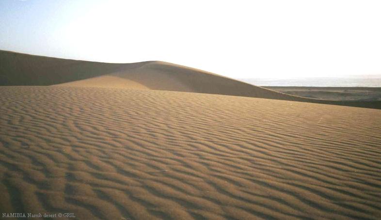 Пески на закате. Пустыня Намиб возле Свакопмунда. 