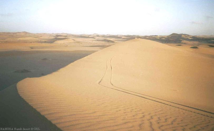 Прогулки по пустыне пешком не популярны у немецких туристов.