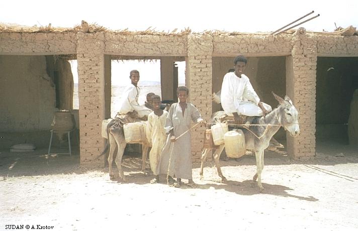 Суданские ослики-водовозы привезли воду из Нила, чтобы наполнить ей "питьевые кувшины".