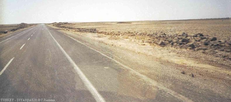 Дорога через каменистую раскаленную пустыню. (45384 bytes)